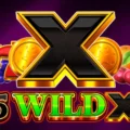 5 Wild X