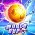 WORLD CUP