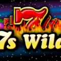 7s Wild