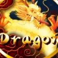 8 Dragons
