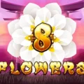 8 Flowers