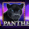 81 Panther