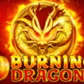 9 Burning Dragons