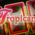 Tropicana