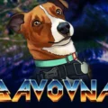 Bavovna
