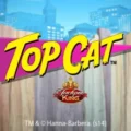 Top Cat