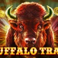 Buffalo Trail