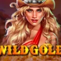 Wild Gold 100000