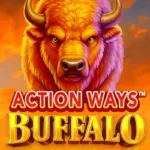 Action Ways Buffalo
