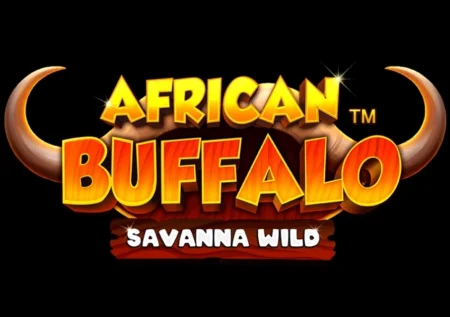 African Buffalo Savanna Wild