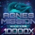 Agnes Mission Wild Lab