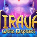 Airavat – White Elephant
