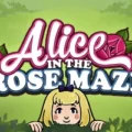 Alice in the Rose Maze