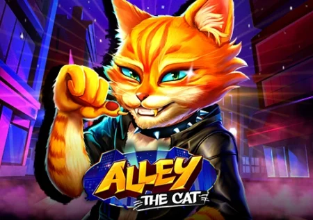 Alley the Cat