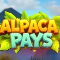 Alpaca Pays