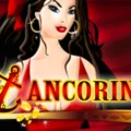 Ancorina