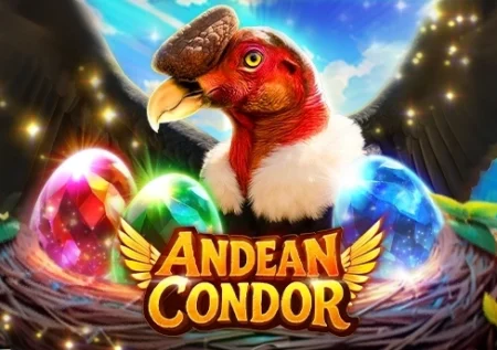 Andean Condor