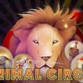 Animal Circus