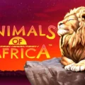Animals of Africa