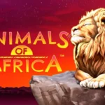 Animals of Africa