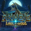 Anubis Link of Gods
