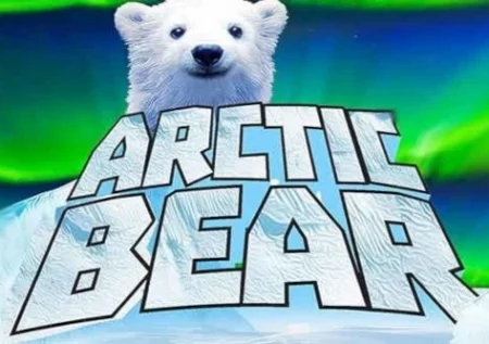 Arctic Bear