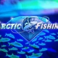 Arctic Fishing