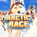 Arctic Race