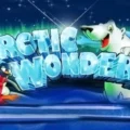 Arctic Wonders