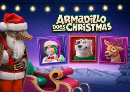 Armadillo Does Christmas