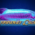 Arowanas Luck