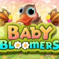 Baby Bloomers
