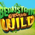 Beanstalk Grows Wild