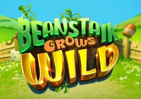 Beanstalk Grows Wild