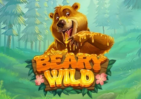 Beary Wild