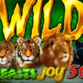 Beasts Joy 50