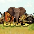 Big 5