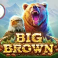 Big Brown
