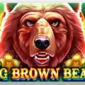 Big Brown Bear