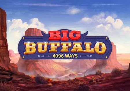 Big Buffalo