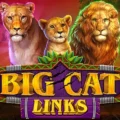 Big Cat Links
