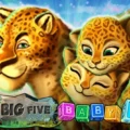 Big Five Baby 5