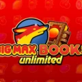 Big Max Books Unlimited