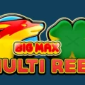 Big Max Multi Reel