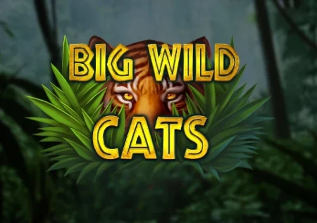 Big Wild Cats