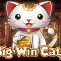 Big Win Cat