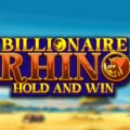 Billionaire Rhino