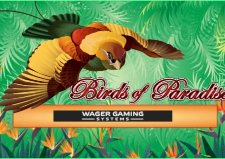 Birds of Paradise