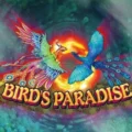 Bird’s Paradise