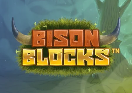 Bison Blocks